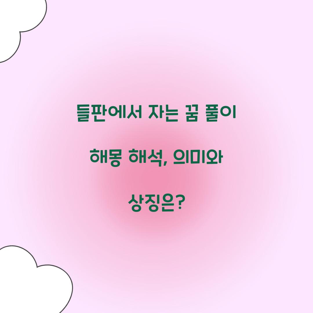 들판에서 자는 꿈 풀이 해몽 해석