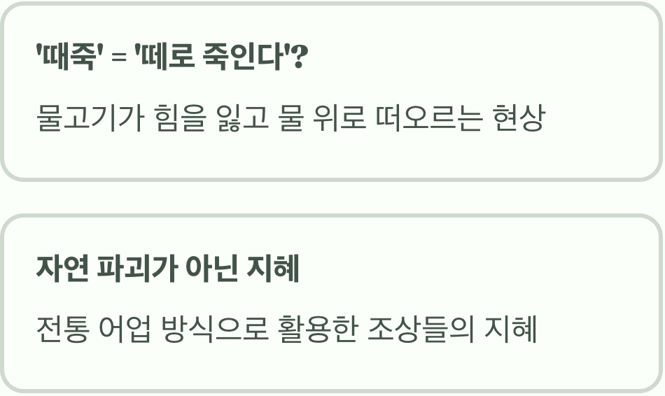 이름에 담긴 섬뜩한 오해