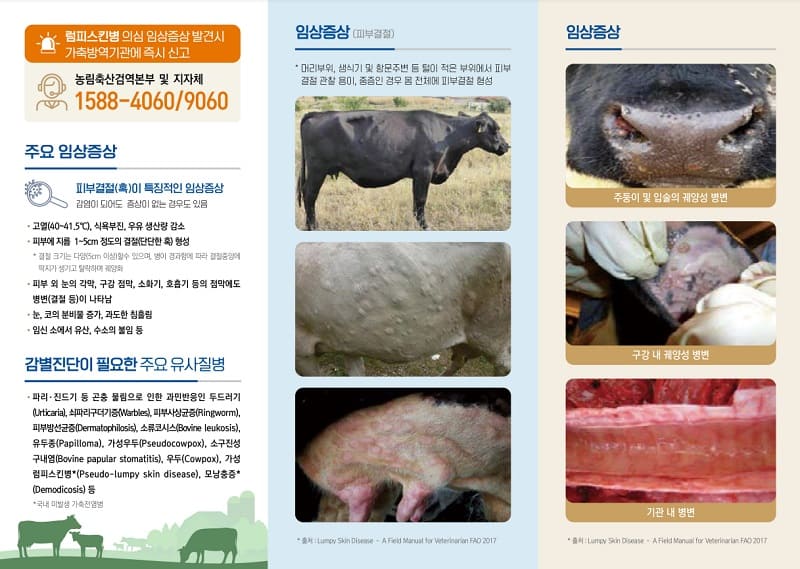 럼피스킨병 리플렛2