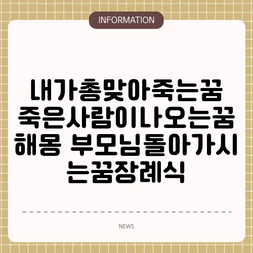 내가총맞아죽는꿈 죽은사람이나오는꿈 해몽 부모님돌아가시는꿈장례식