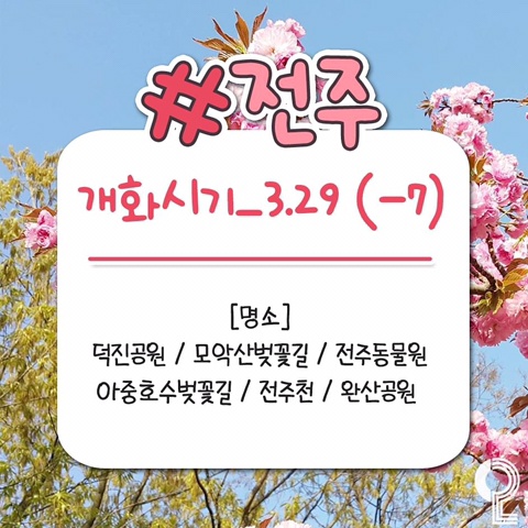 벚꽃 개화시기 명소