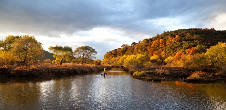 경남 단풍명소 TOP5 ❘ 가을 감성 가득한 산책 · 여행 · 데이트 추천 코스 관련 사진