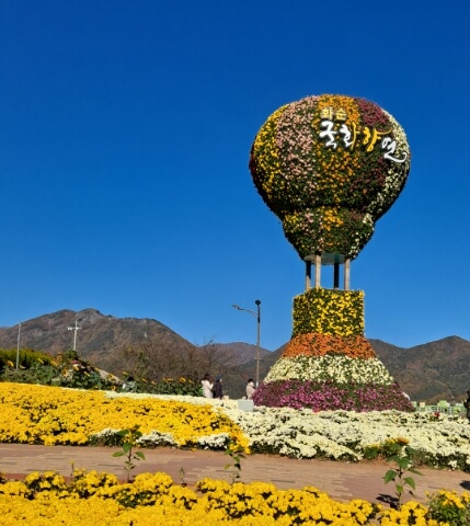 화순 가볼만한곳 베스트 10