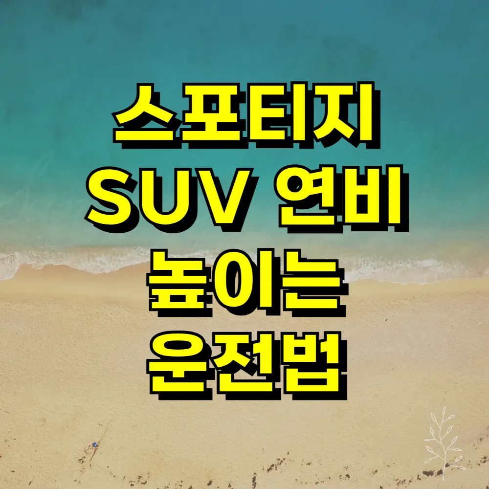 스포티지 SUV 연비 높이는 운전법