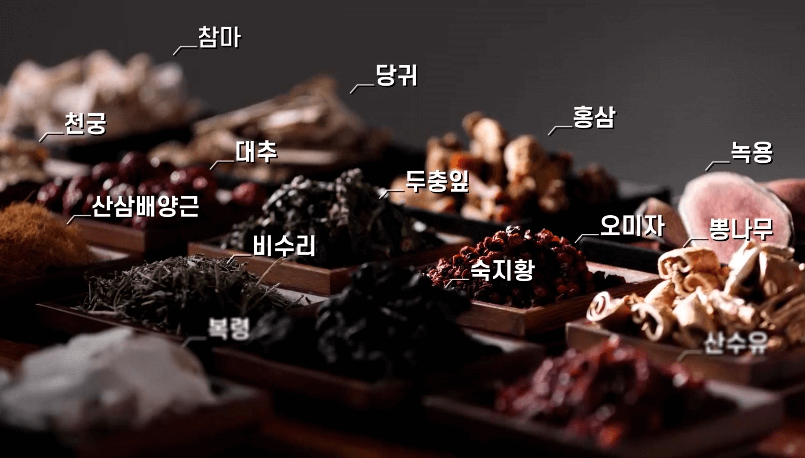 광동 침향환 효과