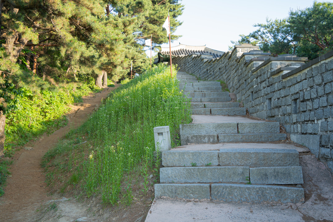 수원 팔달산 팔달산 올라가는길