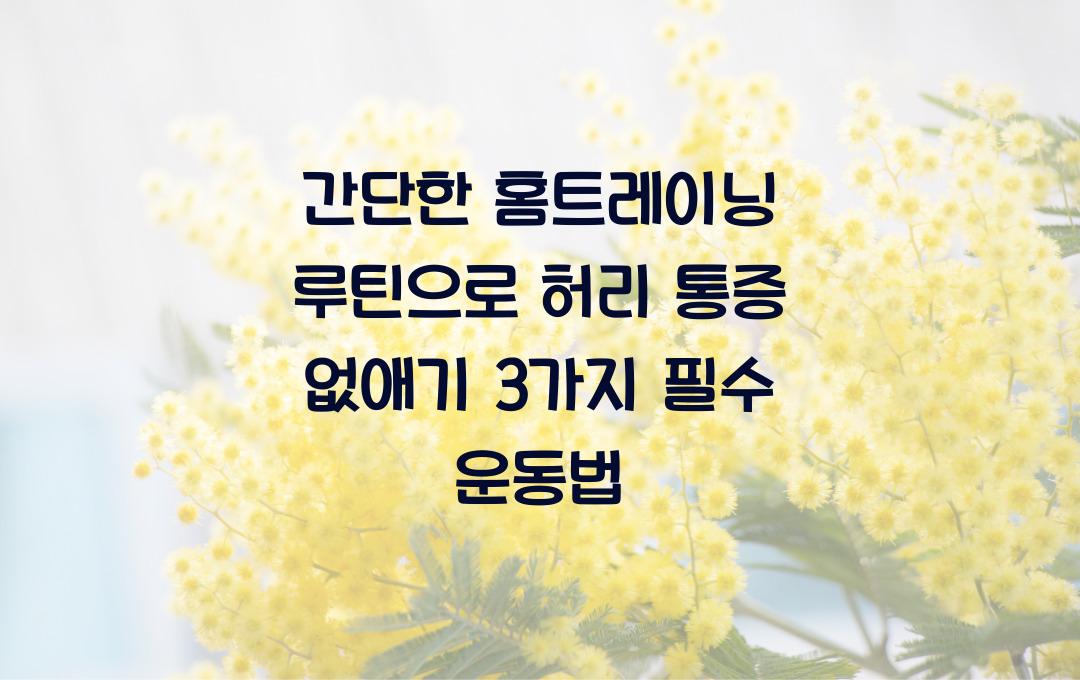 간단한 홈트레이닝 루틴으로 허리 통증 없애기!