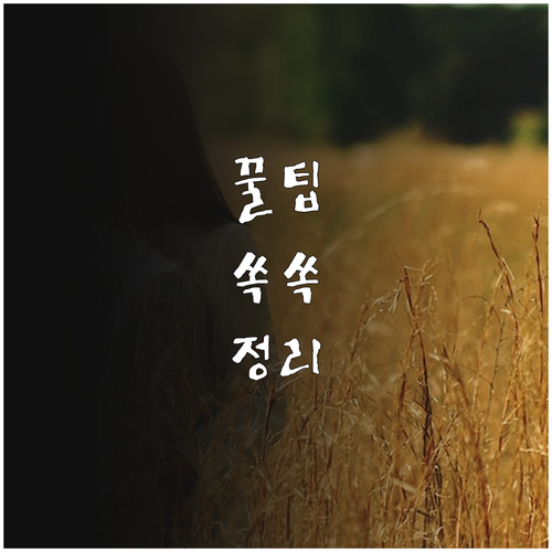 2025 목재펠릿 품질 관리와 무상 ..