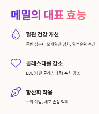 메밀의 대표 효능