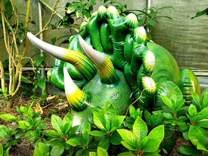 생방송투데이 동물농장 강릉