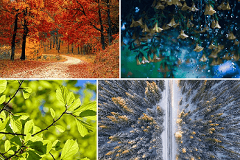 봄-여름-가을-겨울-4계절사진