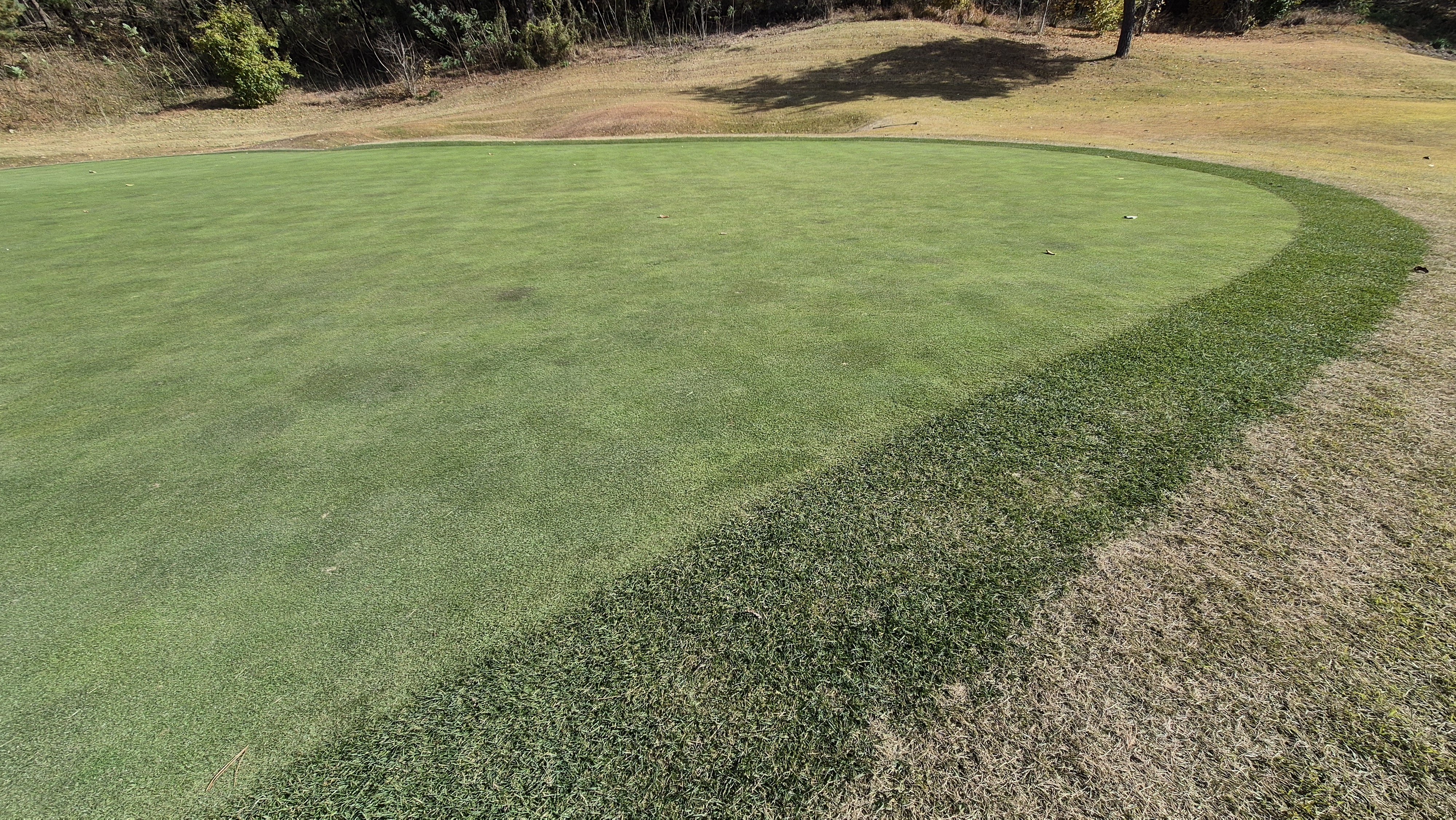 세종에머슨cc 밸리-마운틴 그린관리상태