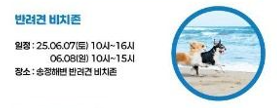 강릉해양레저 펫가족 힐링페스티벌