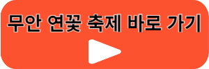 무안연꽃축제