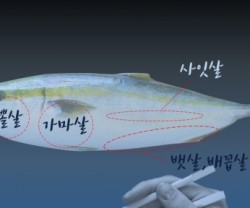 ⓒhttps://blog.naver.com/plusx_/223666222189