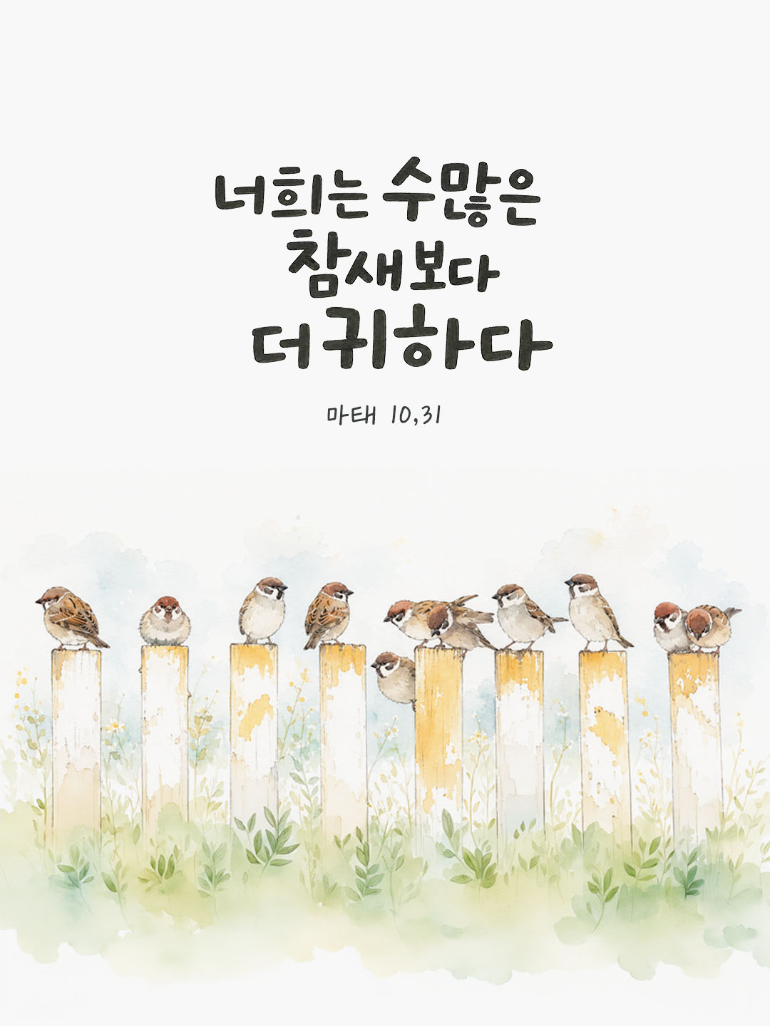 오늘 말씀카드 마태오복음 10장 31절 성경구절 이미지