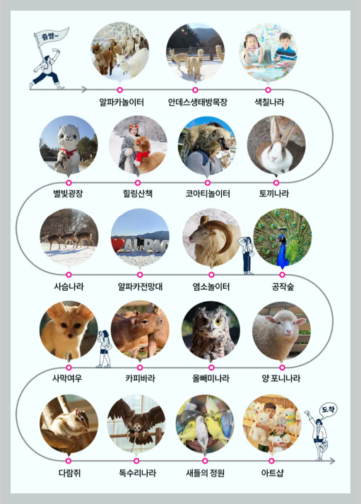 홍천 알파카 월드