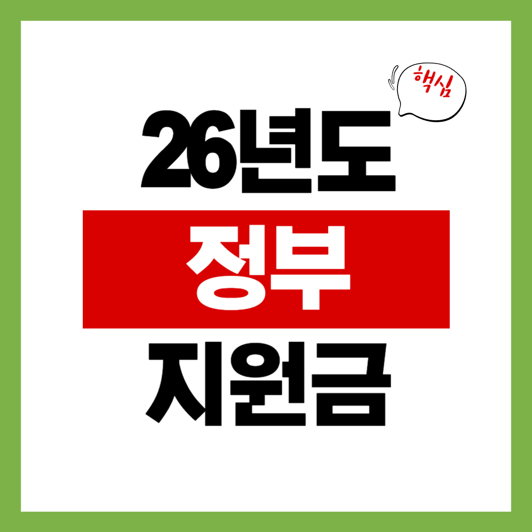 2026년도 정부지원금 총정리