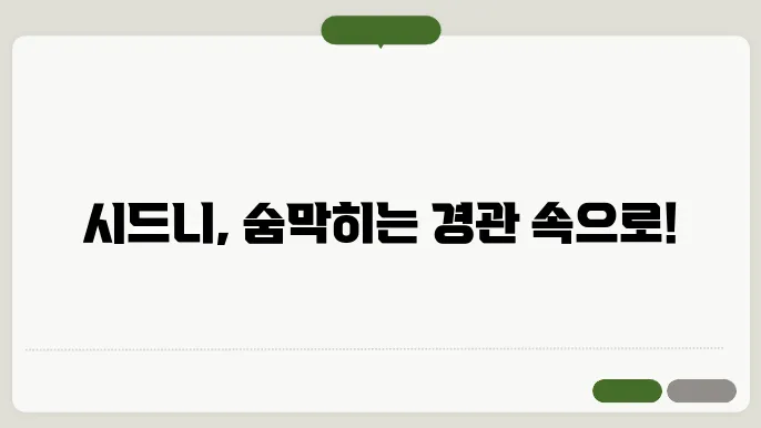 시드니의 다양한 문화 체험