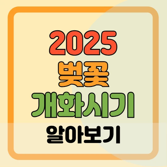 2025 벚꽃 개화시기(지역별 개화·만개시기, 벚꽃명소, 벚꽃축제 추천)