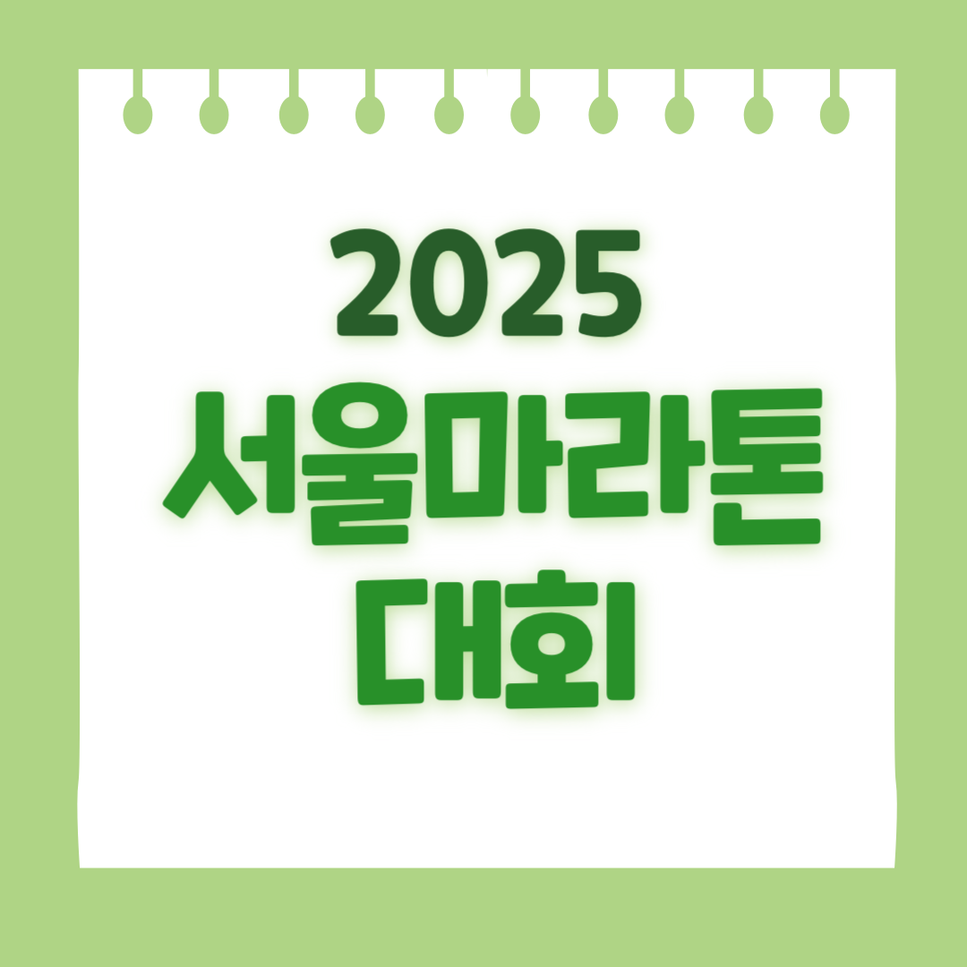 2025 서울마라톤대회 접수