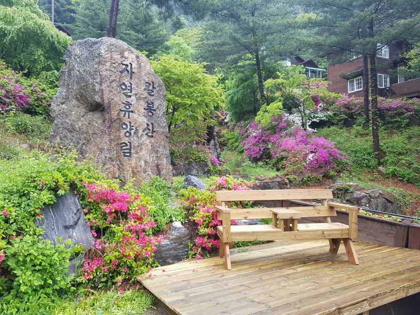 가평 칼봉산 자연휴양림 경반 계곡 주변 마트 전통 시장 오일장 특산물 정보