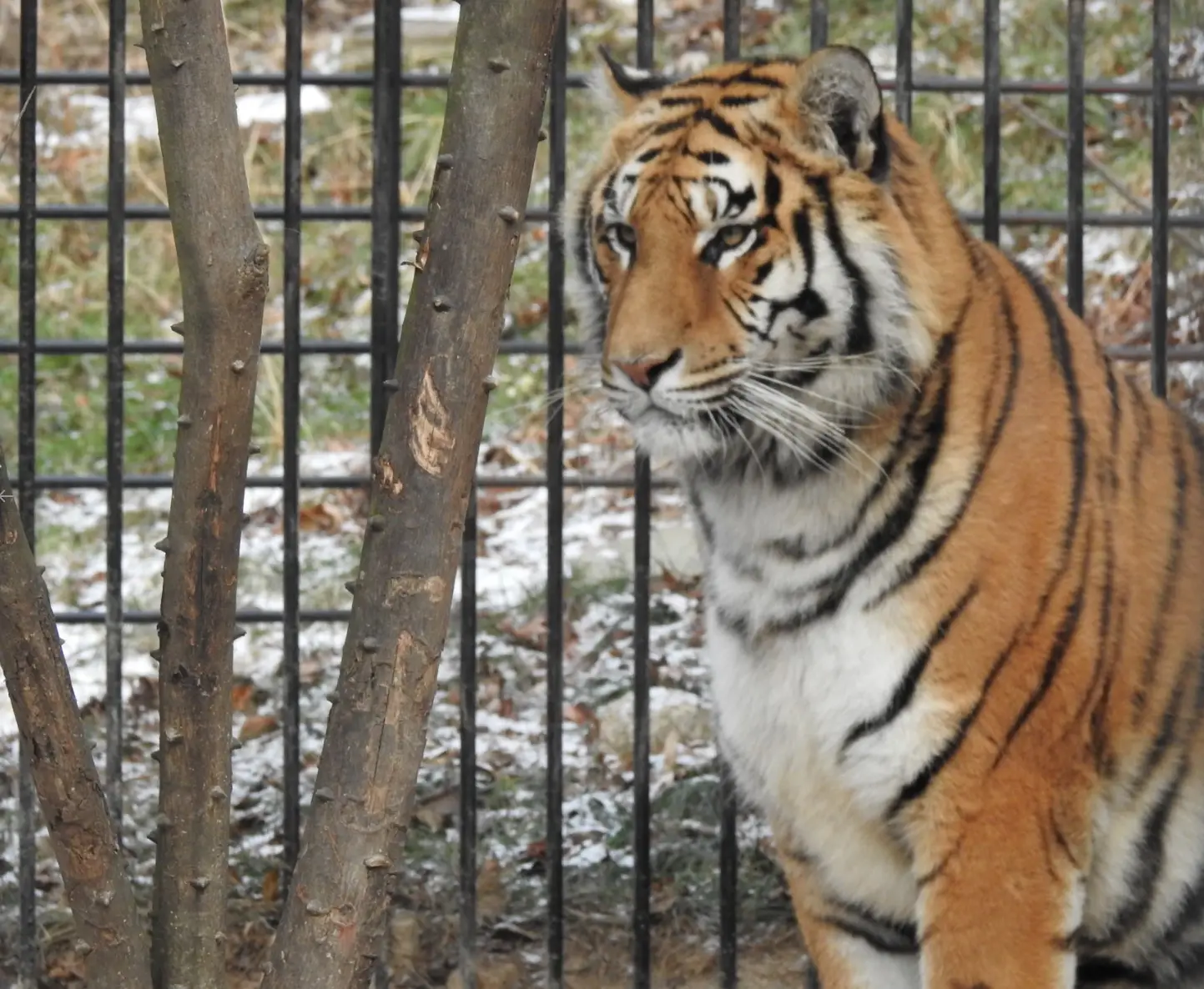 아침고요수목원-입장료-운영시간-관람안내