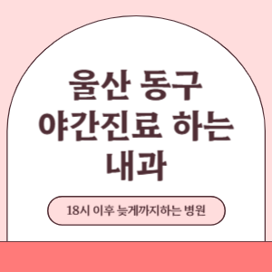 울산 동구 야간진료 늦게까지 진료 하는 내과 병원 (18시 이후 지금 진료 중인 병원)
