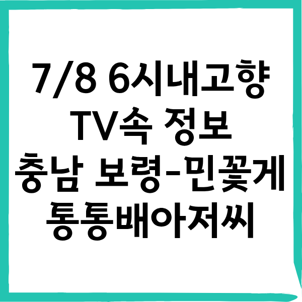 7/8 6시내고향 민꽃게 통통배아저씨 정보
