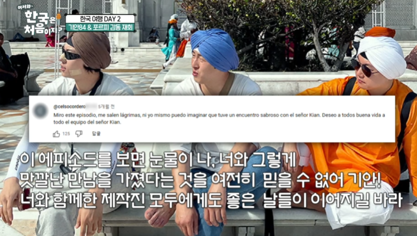 어서와-한국은-처음이지-포르피-기안84-댓글-323회