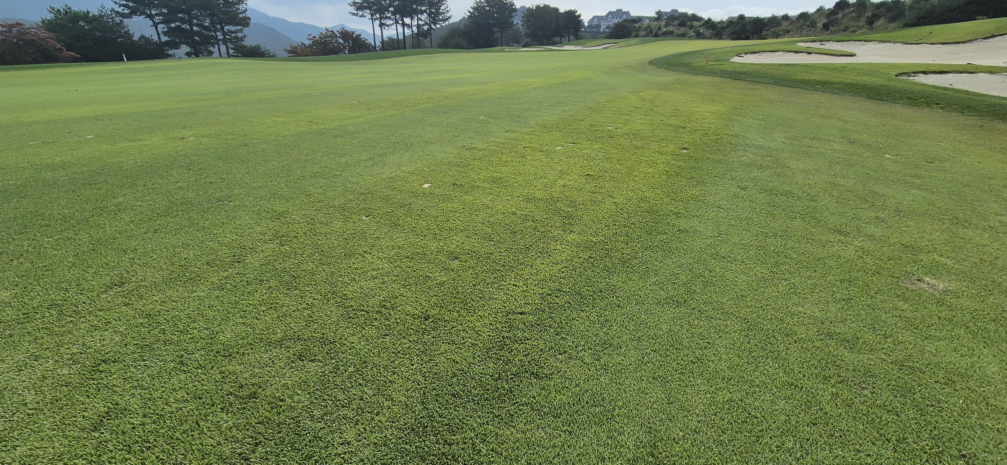 소노팰리체cc이스트