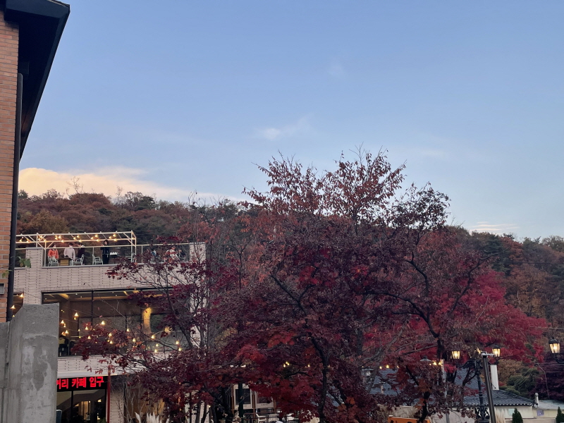 ํ์ด๊ทธ๋ผ์ด๋ ์ ๋นต์