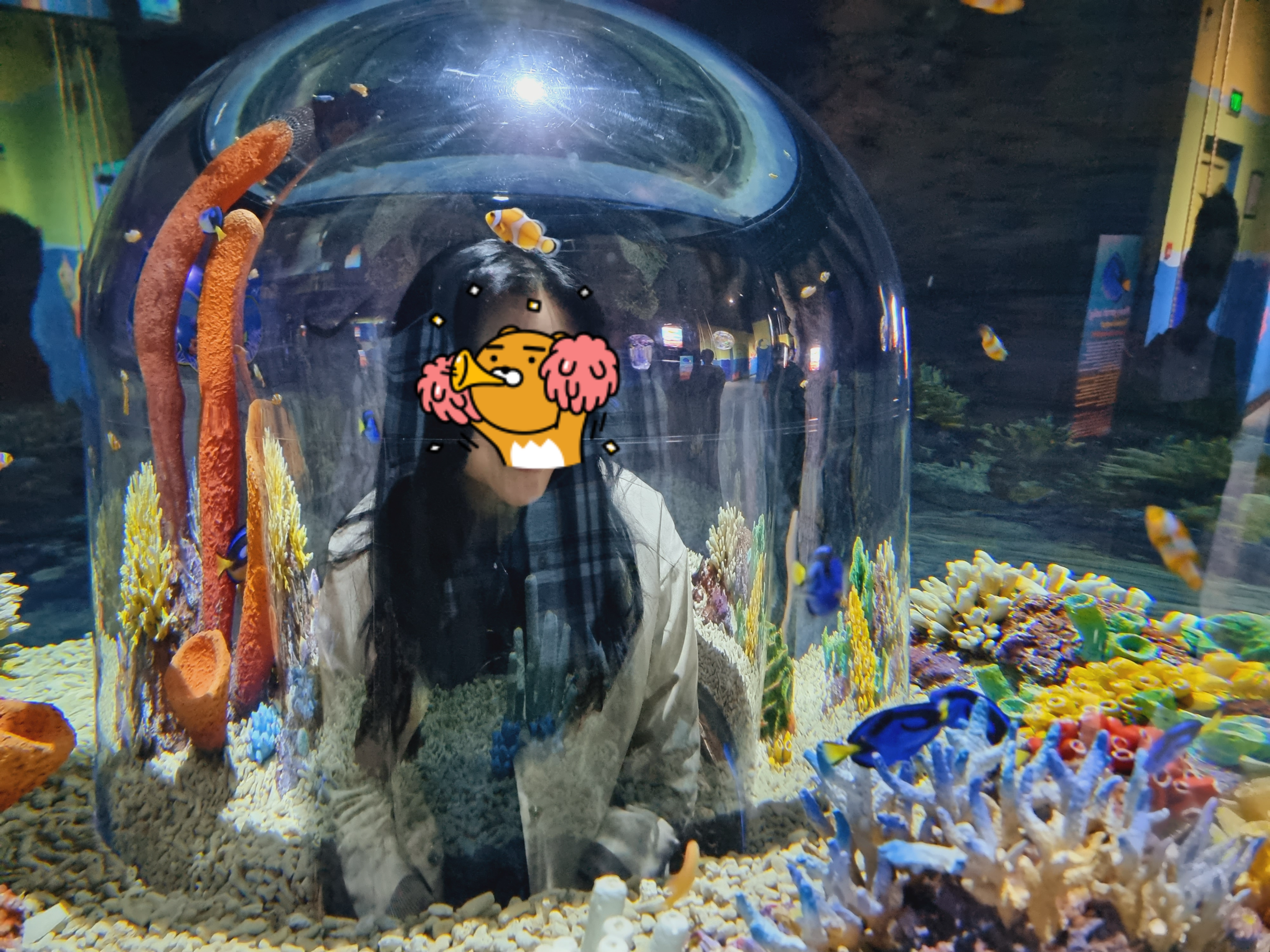 니모와 산호초속 열대물고기들