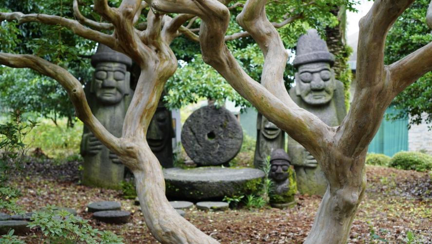 제주 여행 2박3일 추천코스(자유여행)