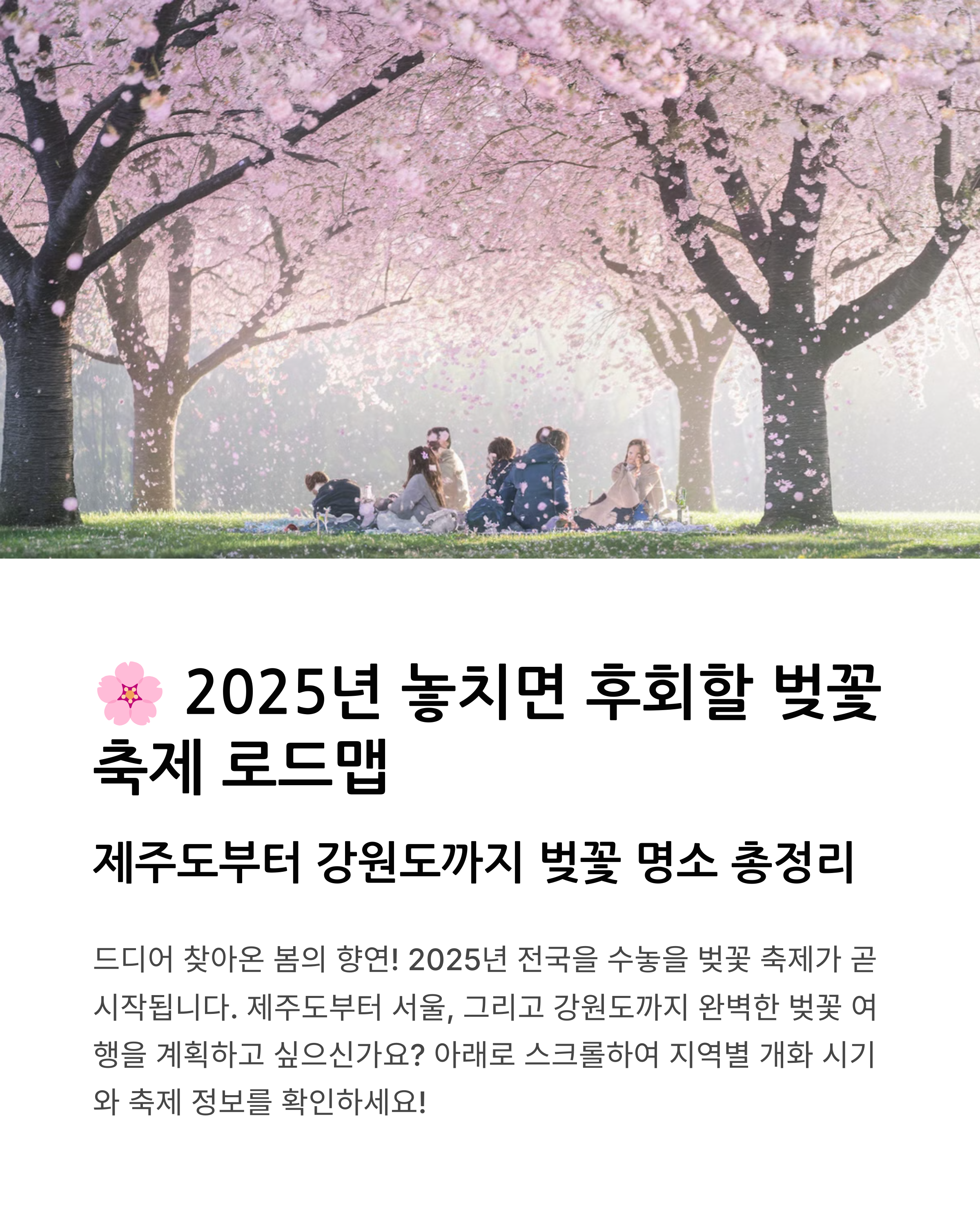 2025년 전국 벚꽃 개화 시기부터 축제 일정까지 한눈에!