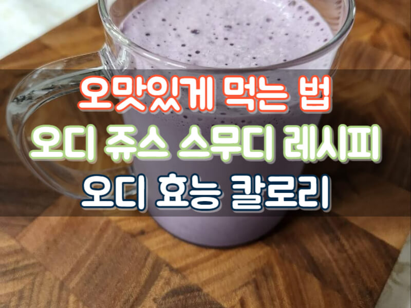 오디효능 오디 맛있게 먹는법 오디 스무디 쥬스 효능 칼로리
