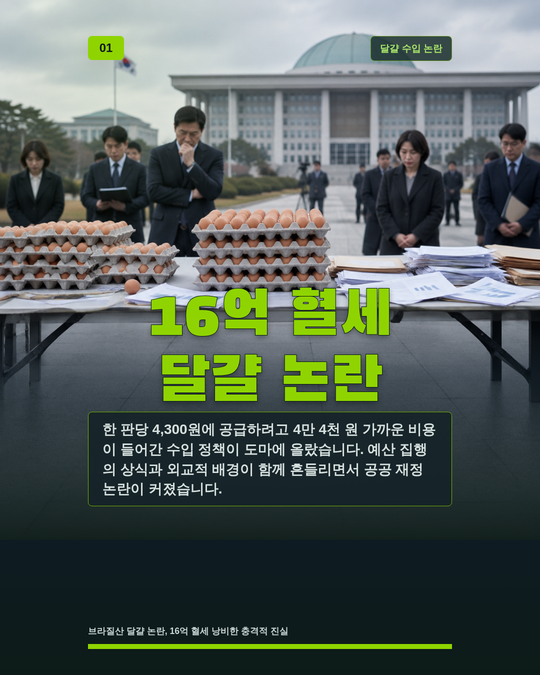 16억 혈세 달걀 논란