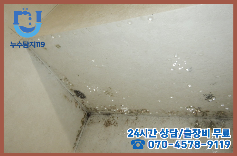 대흥동 보일러누수 발생2