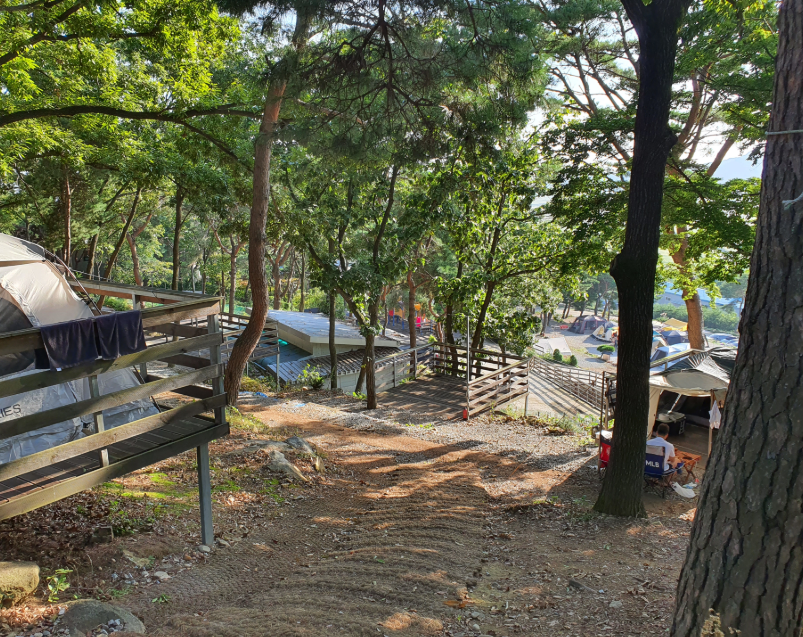 강화도아침캠핑장 모습