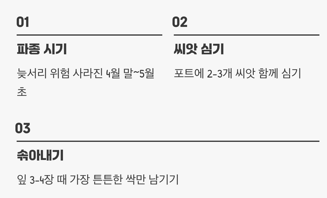 씨앗 한 알의 위대한 여정