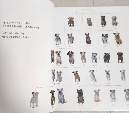 나는 개다