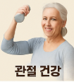 석류 효능
