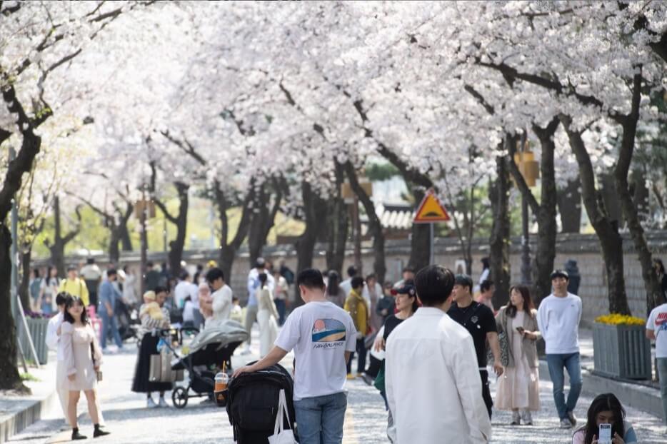 2024 전국 꽃축제
