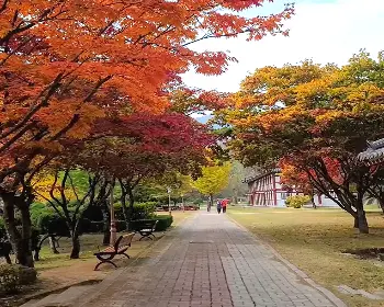 배론성지_24