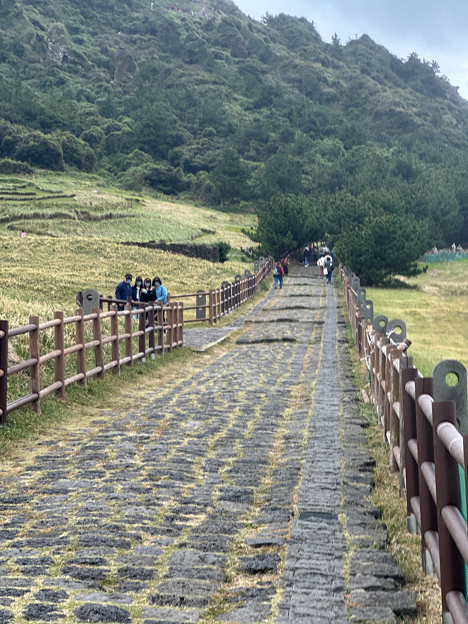 성산일출봉의-탐방로는-오르는동선과-내려오는동선이-분리가되어있어-복잡하지않고-원활한통행이가능하다