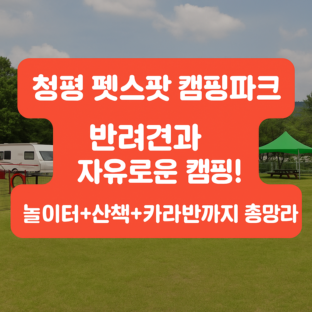 청평 펫스팟 캠핑파크, 반려견과 자유로운 캠핑! 놀이터+산책+카라반까지 총정리