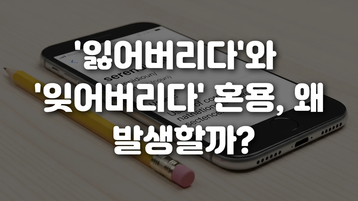 잃어버리다 와 잊어버리다 혼용 왜 발생할까