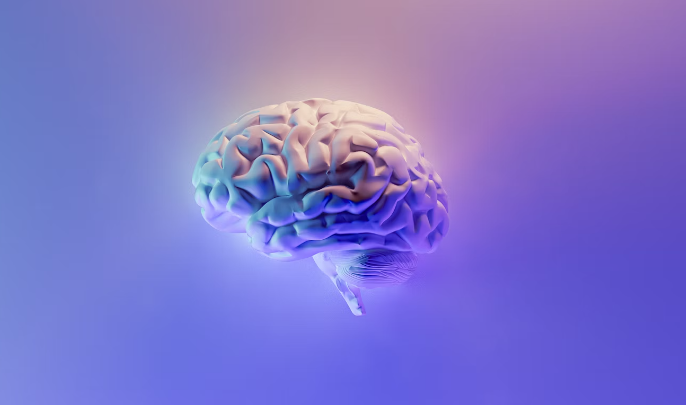 콜린 이노시톨 효능