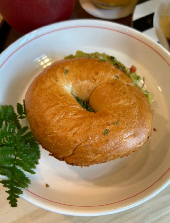 봉봉농원 묘목카페 생방송 오늘 저녁