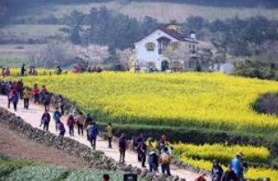 청산도 배시간표